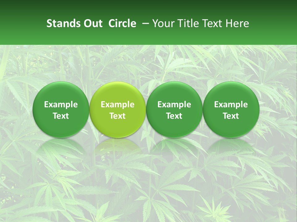 Old Parent Older PowerPoint Template