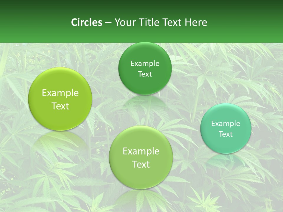 Old Parent Older PowerPoint Template