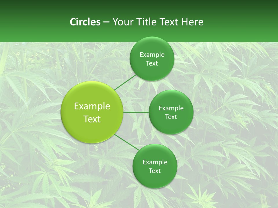 Old Parent Older PowerPoint Template