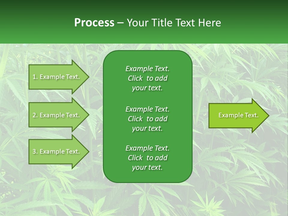 Old Parent Older PowerPoint Template