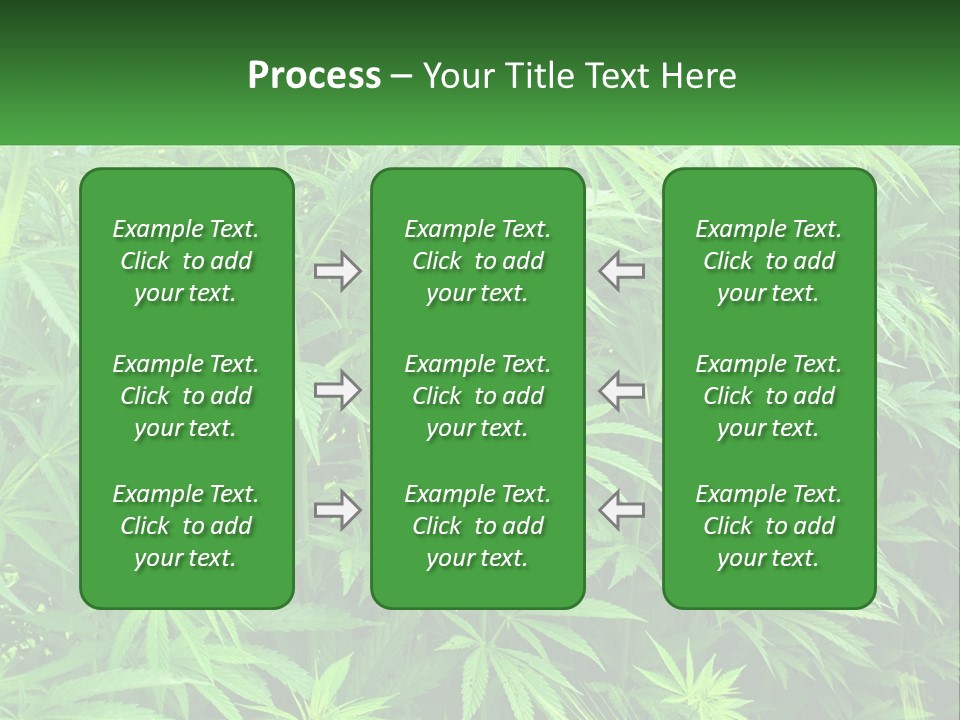 Old Parent Older PowerPoint Template