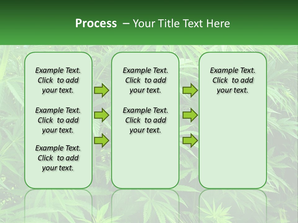 Old Parent Older PowerPoint Template