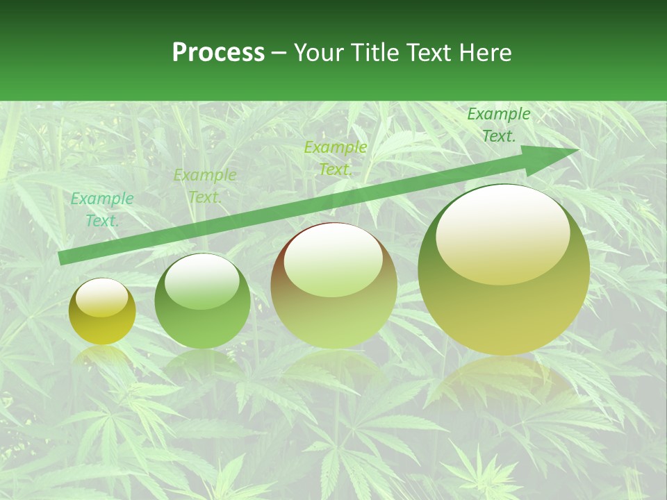 Old Parent Older PowerPoint Template