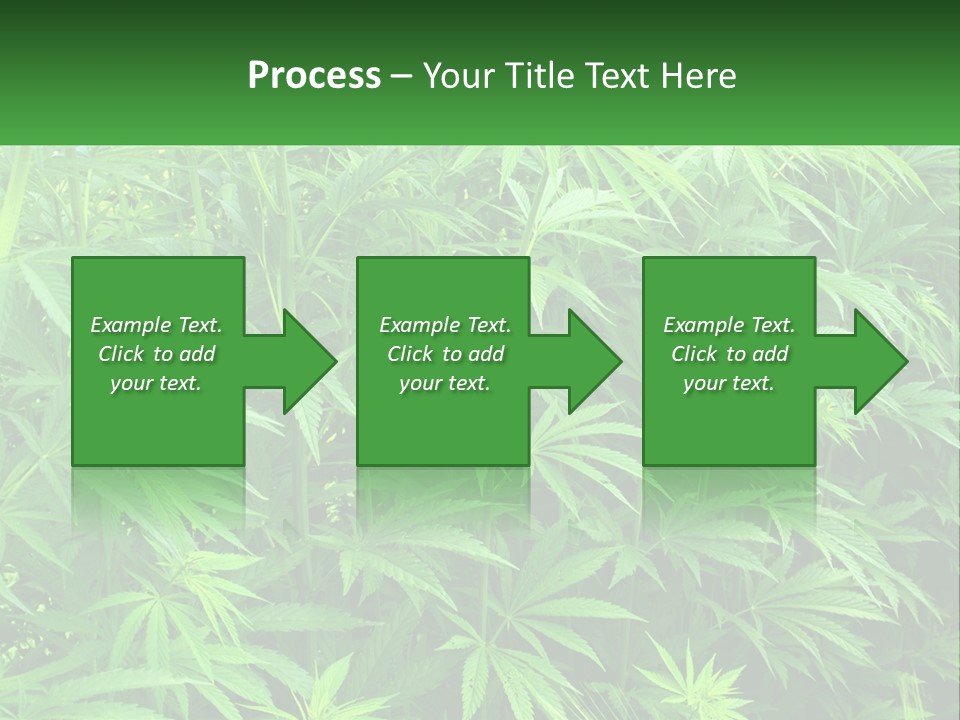 Old Parent Older PowerPoint Template