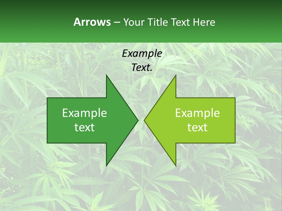 Old Parent Older PowerPoint Template