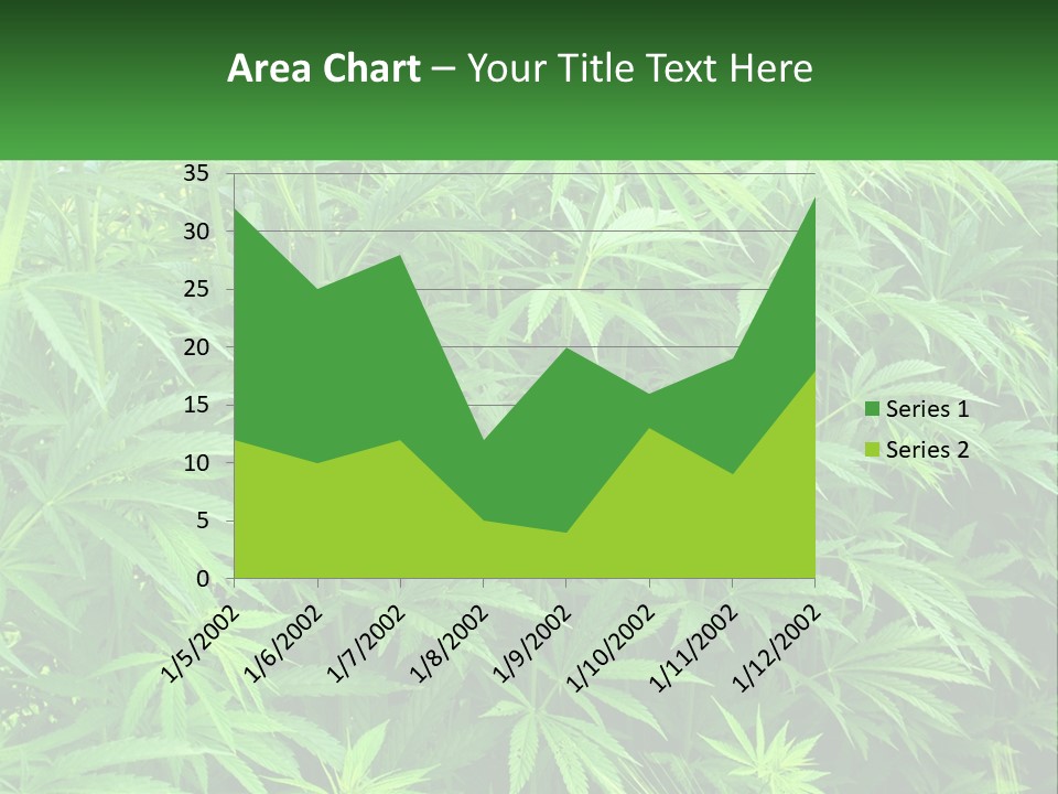 Old Parent Older PowerPoint Template