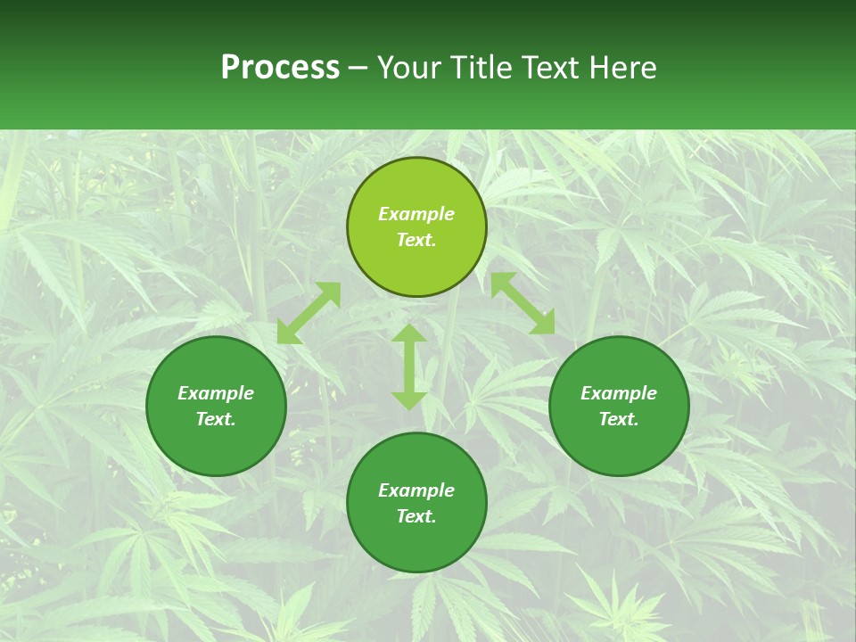 Old Parent Older PowerPoint Template