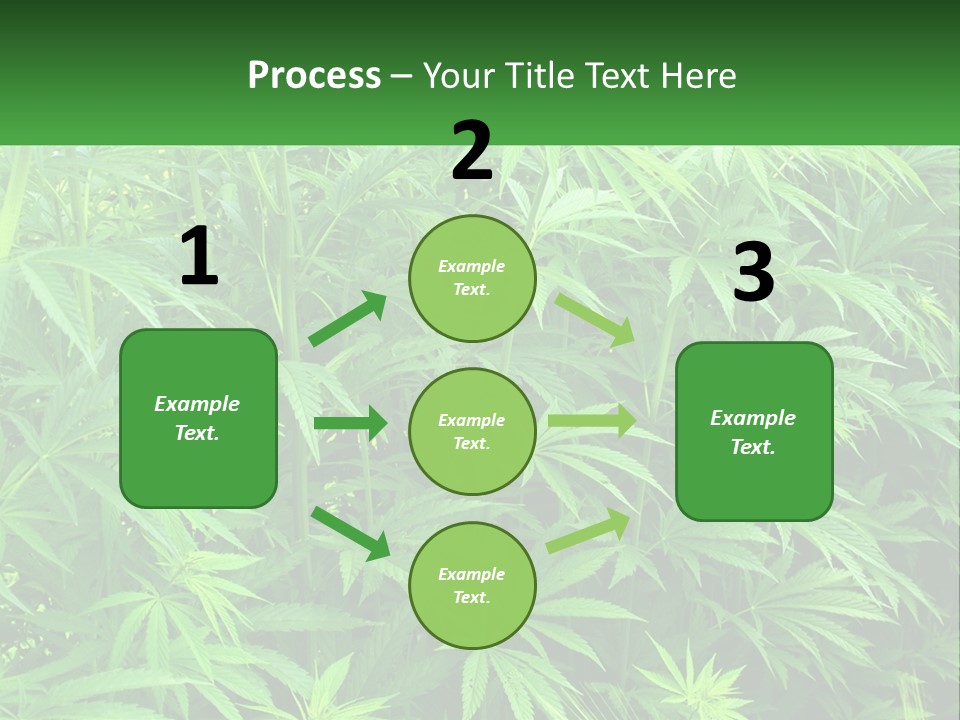 Old Parent Older PowerPoint Template