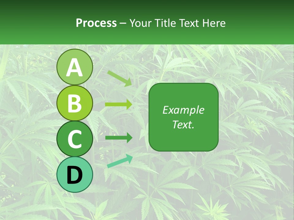 Old Parent Older PowerPoint Template