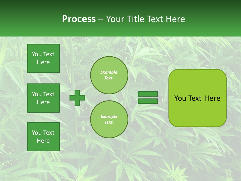 Old Parent Older PowerPoint Template