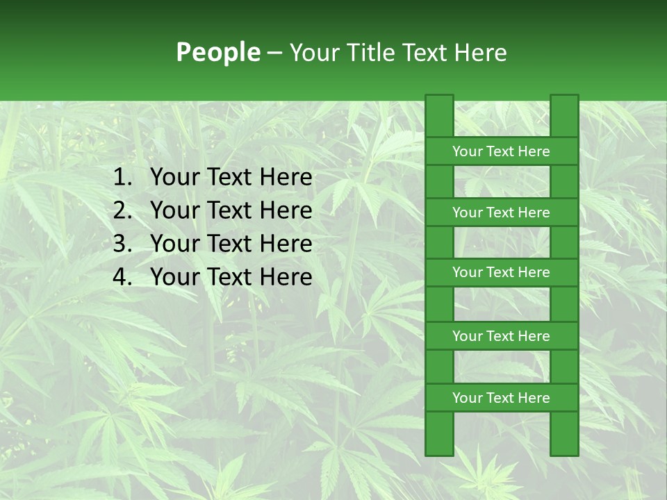 Old Parent Older PowerPoint Template