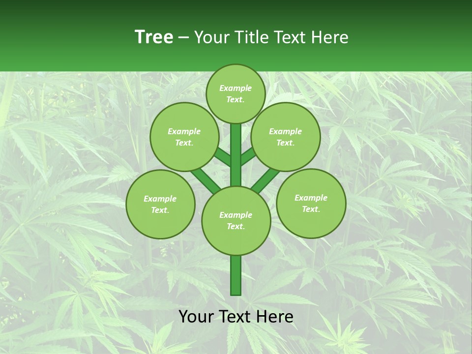 Old Parent Older PowerPoint Template