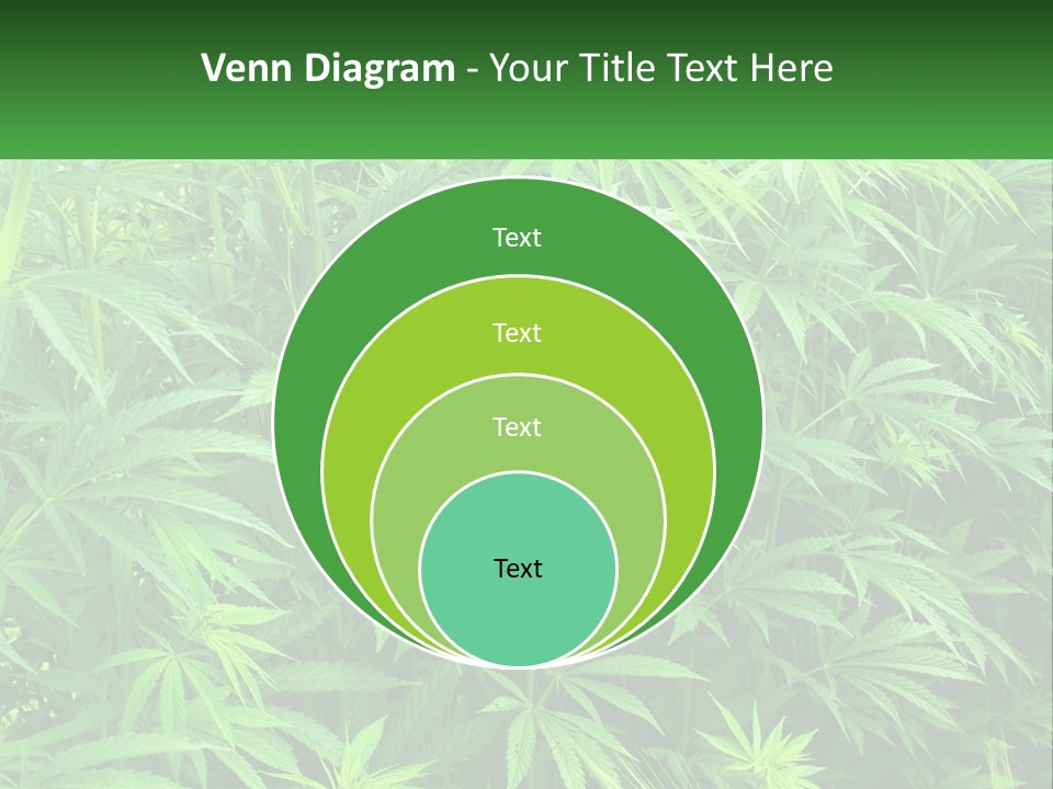 Old Parent Older PowerPoint Template