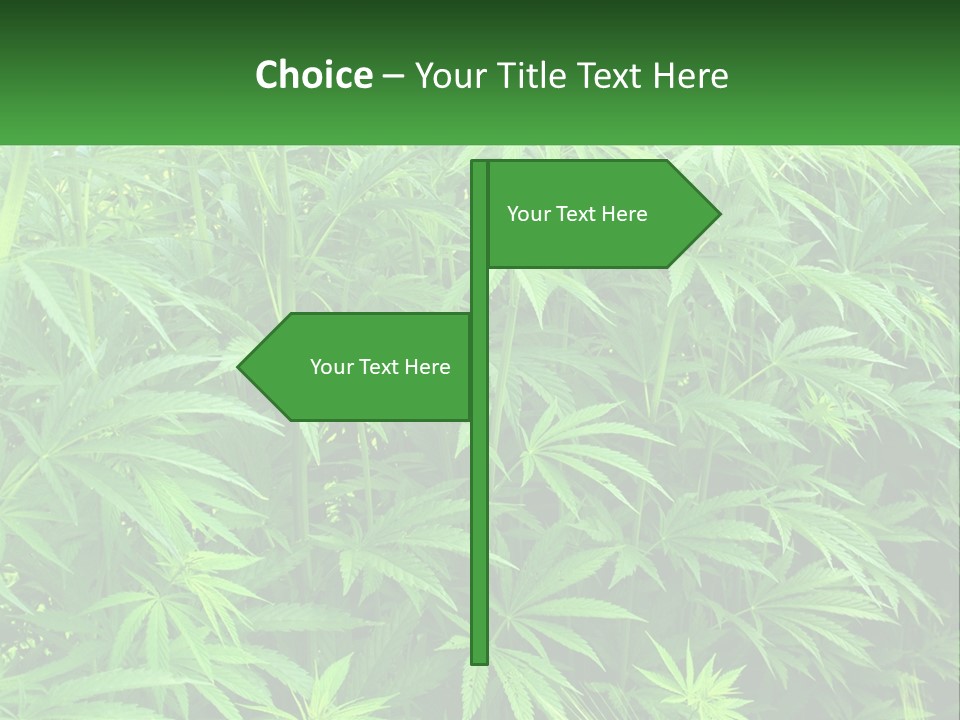 Old Parent Older PowerPoint Template