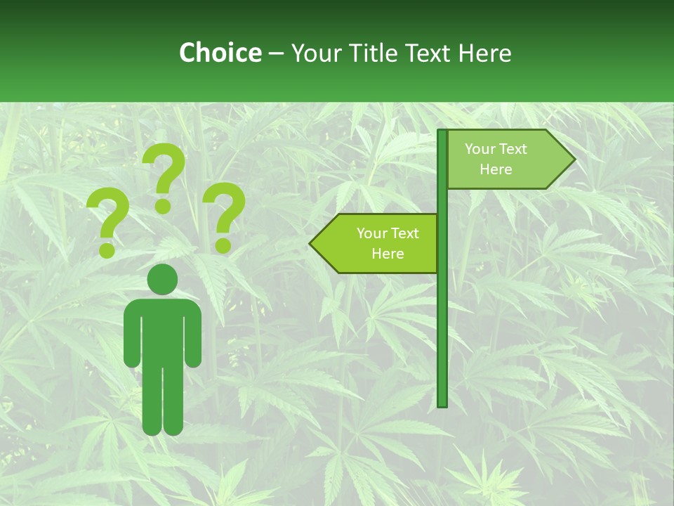 Old Parent Older PowerPoint Template