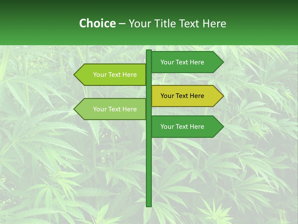 Old Parent Older PowerPoint Template