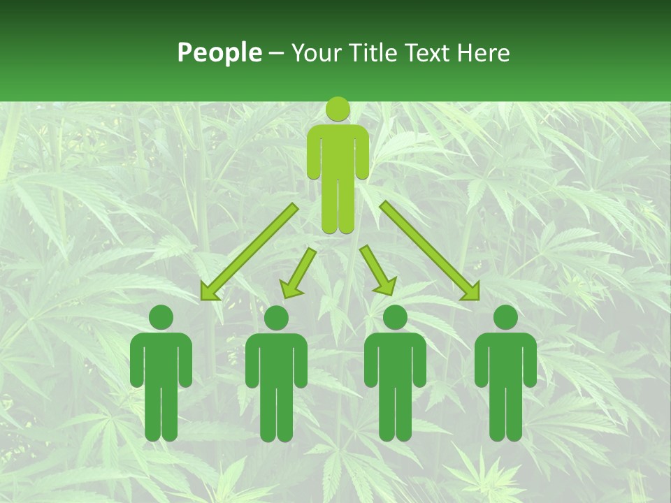 Old Parent Older PowerPoint Template