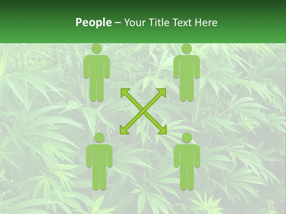 Old Parent Older PowerPoint Template