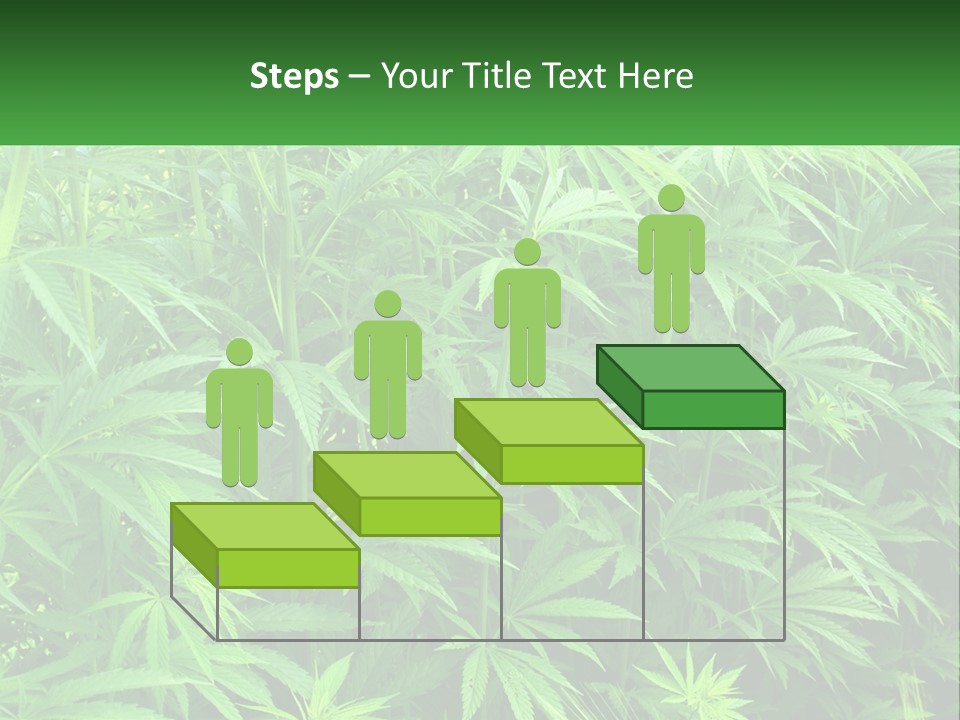 Old Parent Older PowerPoint Template