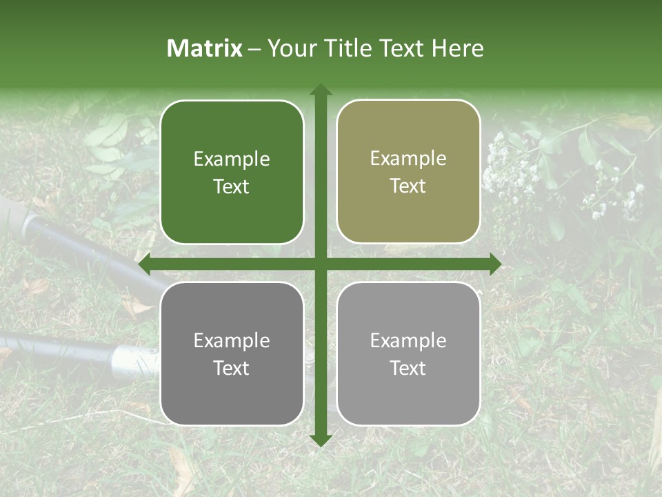 Sunset Sea Family PowerPoint Template