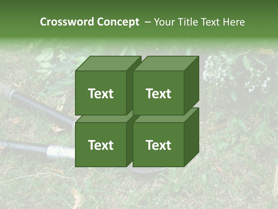 Sunset Sea Family PowerPoint Template