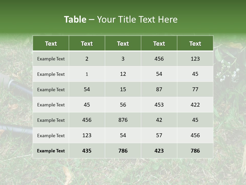 Sunset Sea Family PowerPoint Template