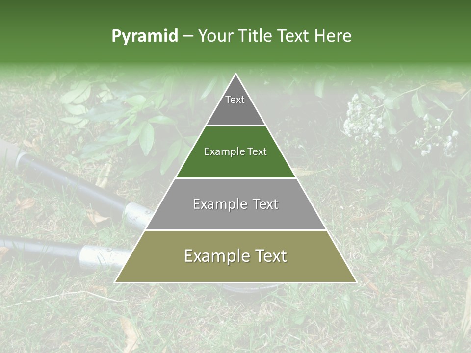 Sunset Sea Family PowerPoint Template