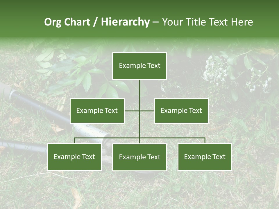 Sunset Sea Family PowerPoint Template