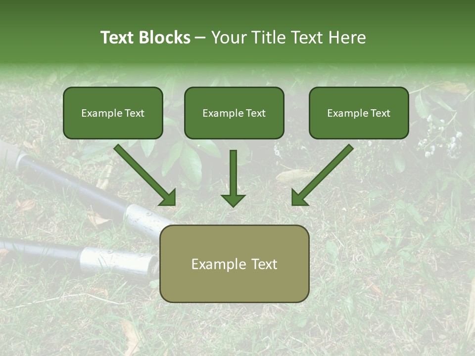 Sunset Sea Family PowerPoint Template