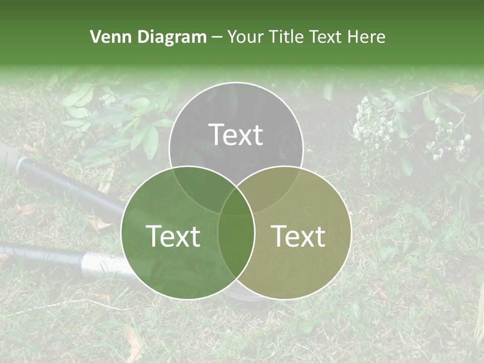 Sunset Sea Family PowerPoint Template