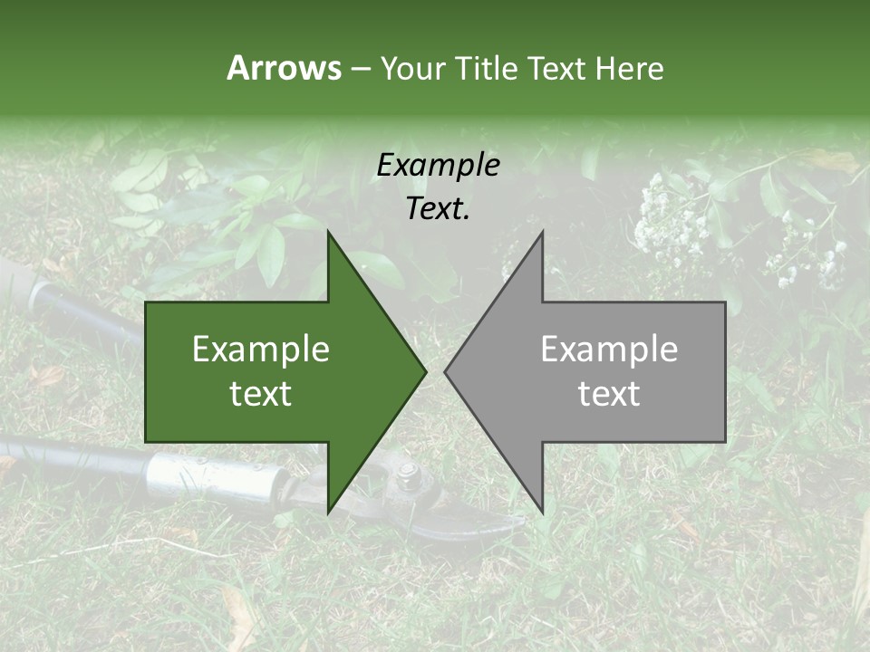 Sunset Sea Family PowerPoint Template