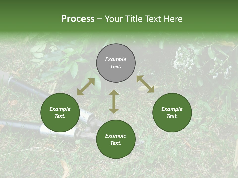 Sunset Sea Family PowerPoint Template