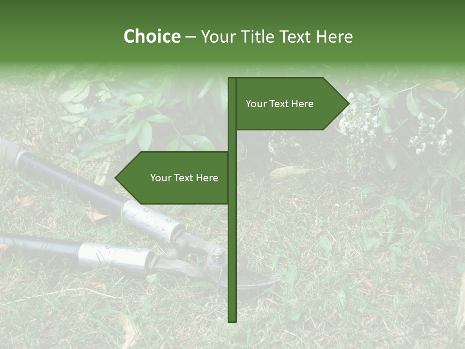 Sunset Sea Family PowerPoint Template