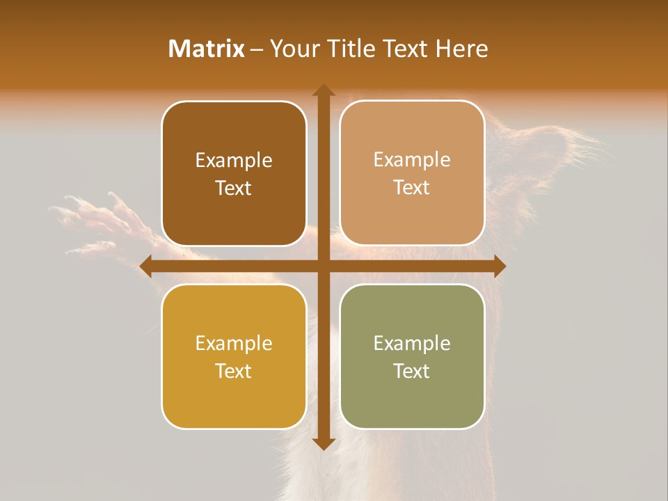 Single Daughter Retired PowerPoint Template