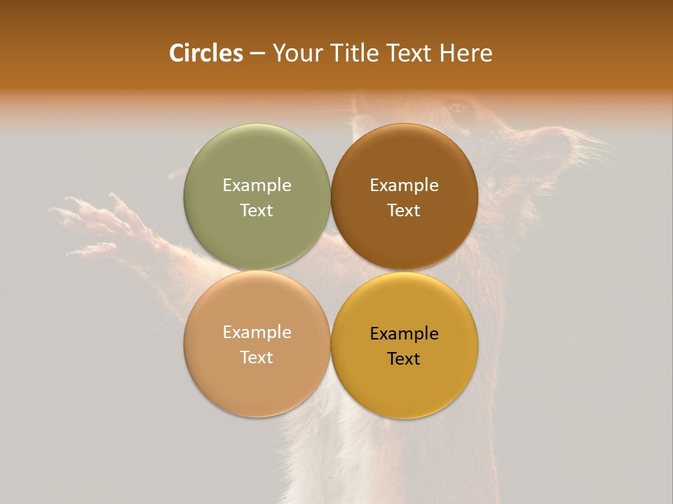 Single Daughter Retired PowerPoint Template