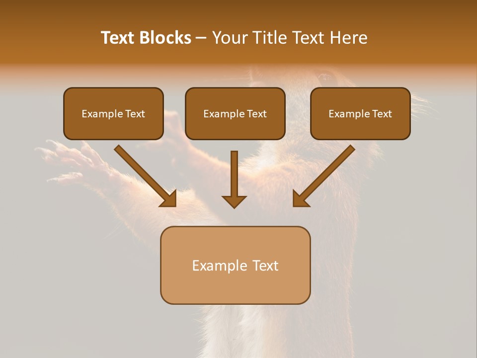 Single Daughter Retired PowerPoint Template