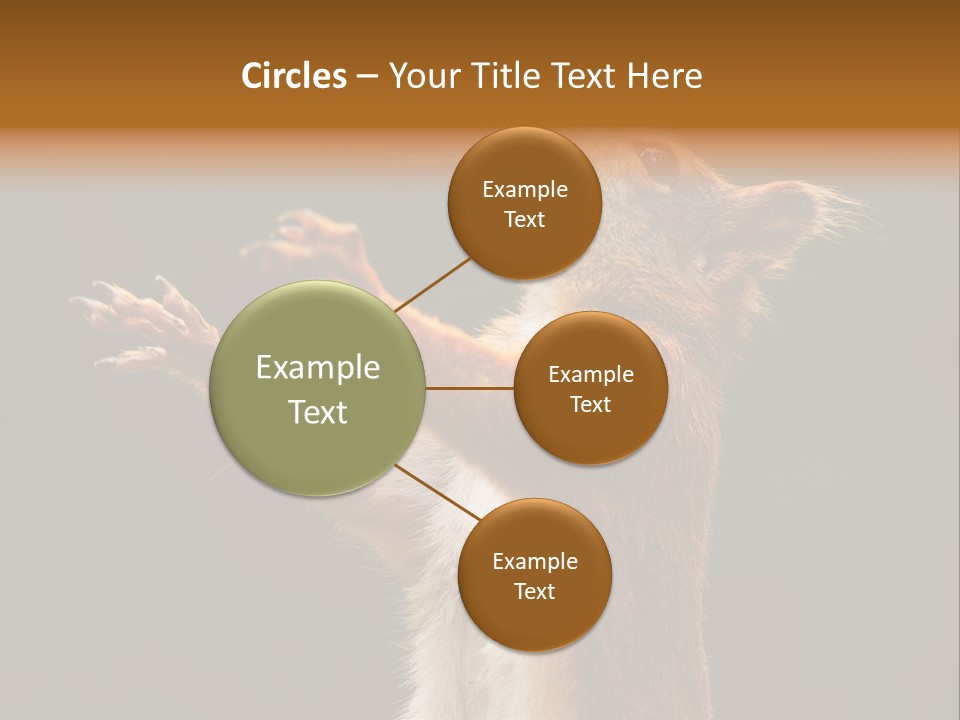 Single Daughter Retired PowerPoint Template