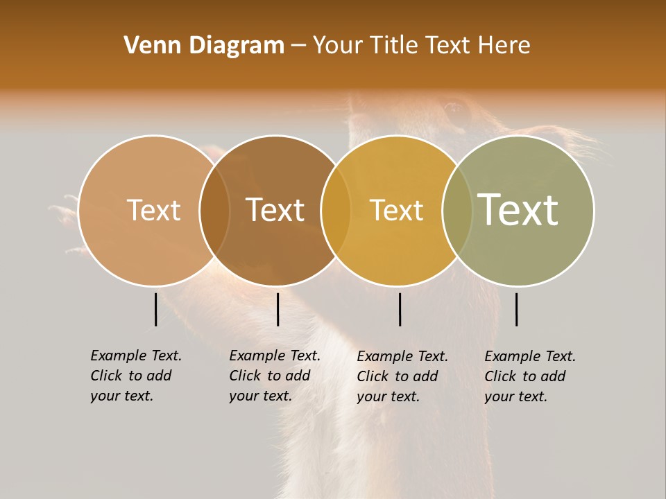 Single Daughter Retired PowerPoint Template