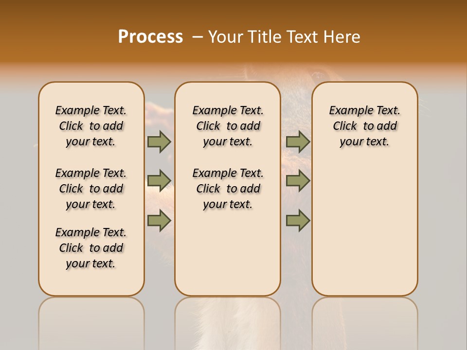 Single Daughter Retired PowerPoint Template