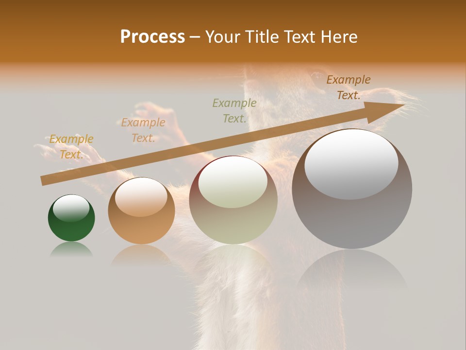 Single Daughter Retired PowerPoint Template