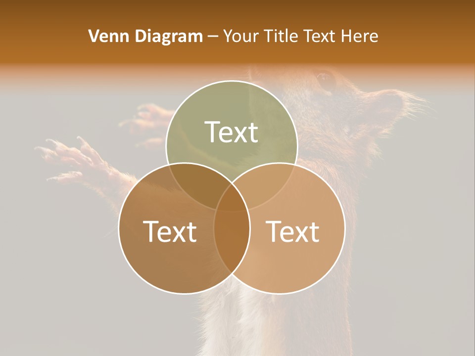 Single Daughter Retired PowerPoint Template