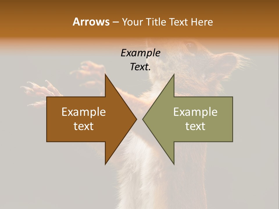 Single Daughter Retired PowerPoint Template