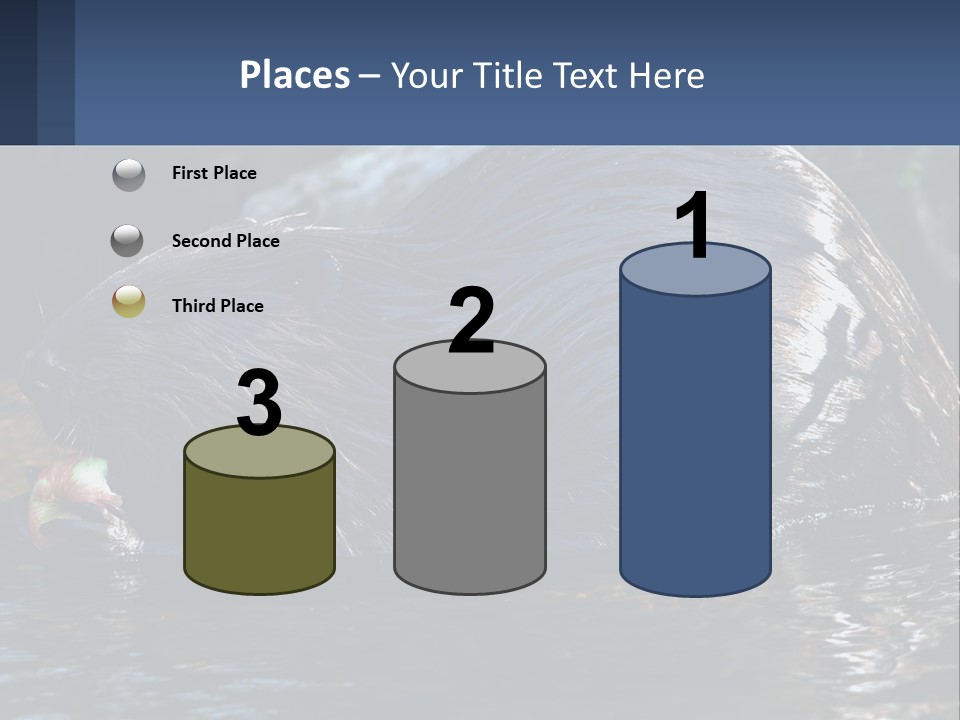 Coast Sea Coastal PowerPoint Template