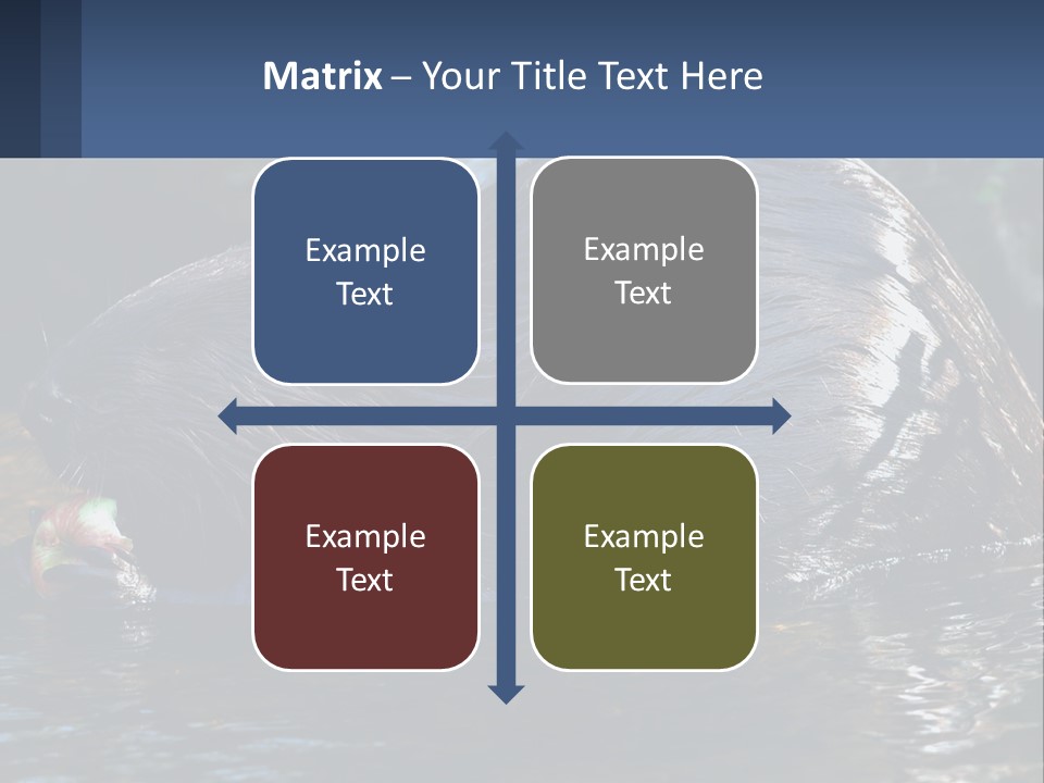 Coast Sea Coastal PowerPoint Template