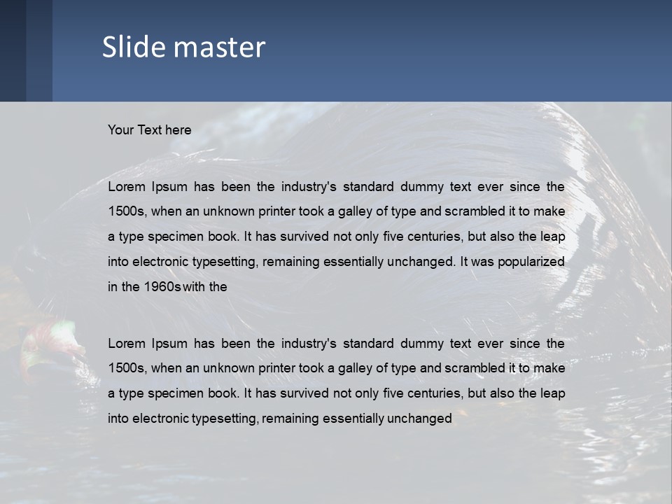Coast Sea Coastal PowerPoint Template
