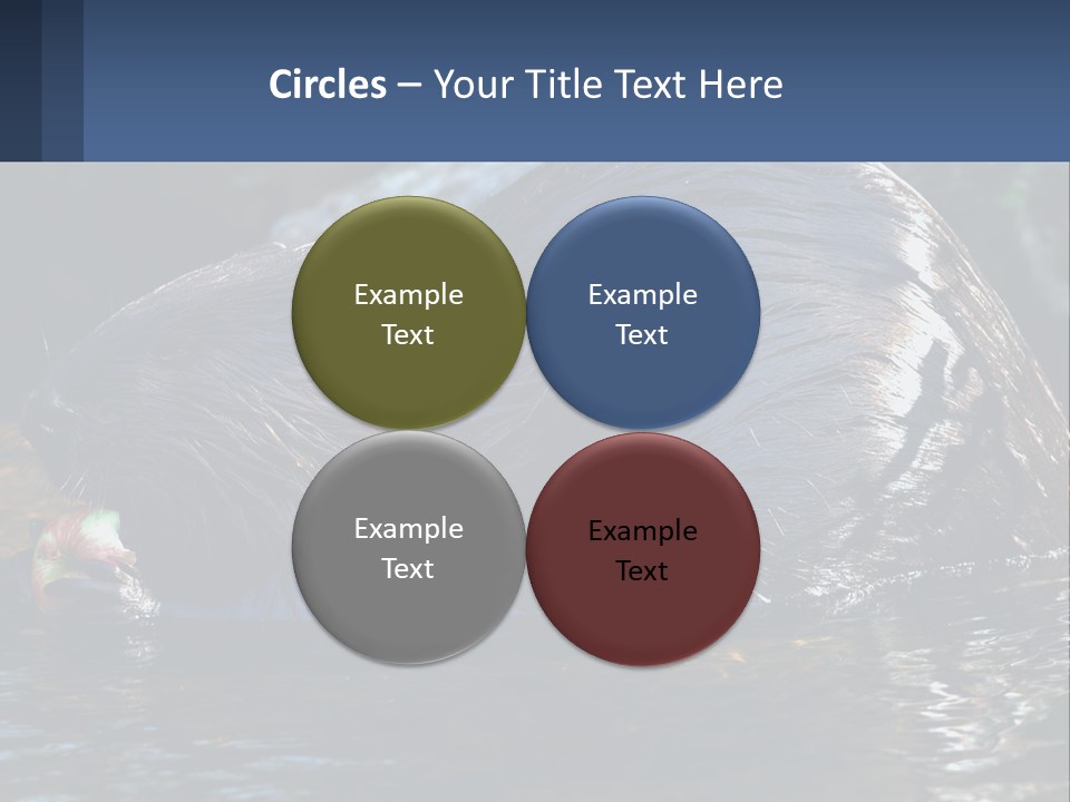 Coast Sea Coastal PowerPoint Template