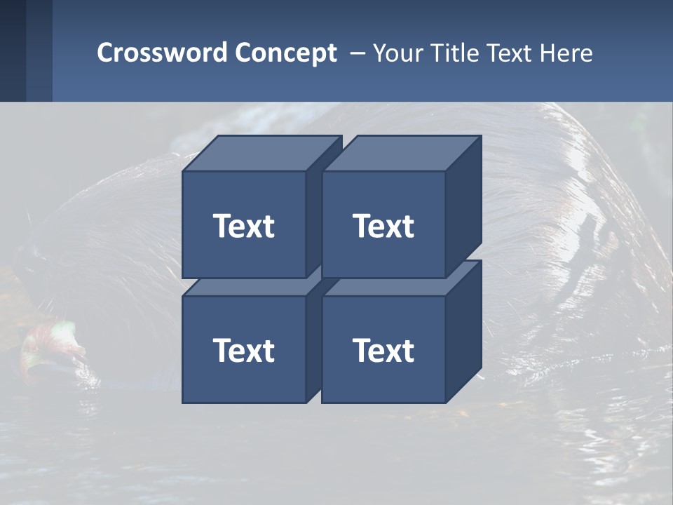Coast Sea Coastal PowerPoint Template