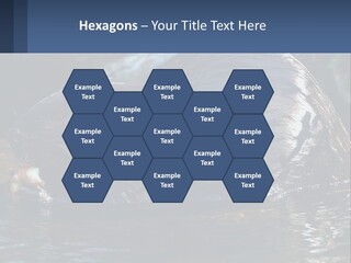 Coast Sea Coastal PowerPoint Template