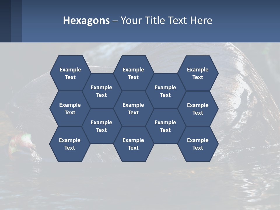 Coast Sea Coastal PowerPoint Template