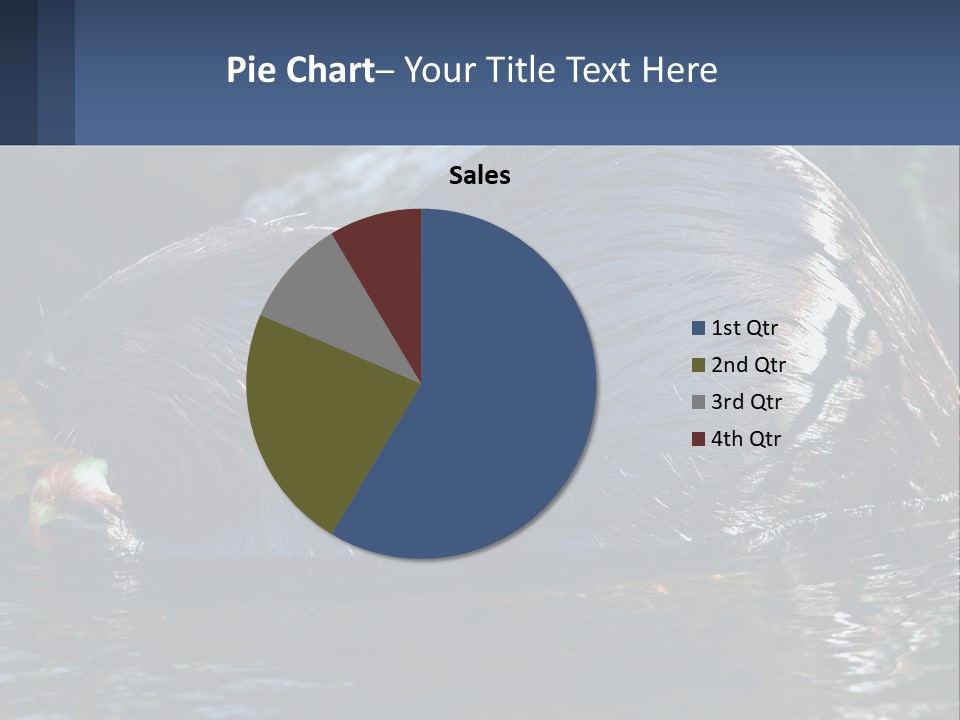 Coast Sea Coastal PowerPoint Template